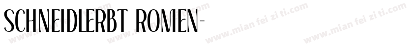 schneidlerBT Romen字体转换